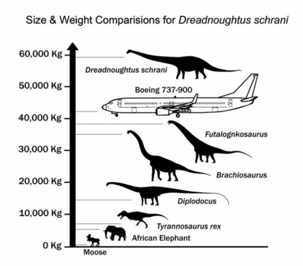 Größte zeiten der dinosaurier aller Größtes Landlebewesen