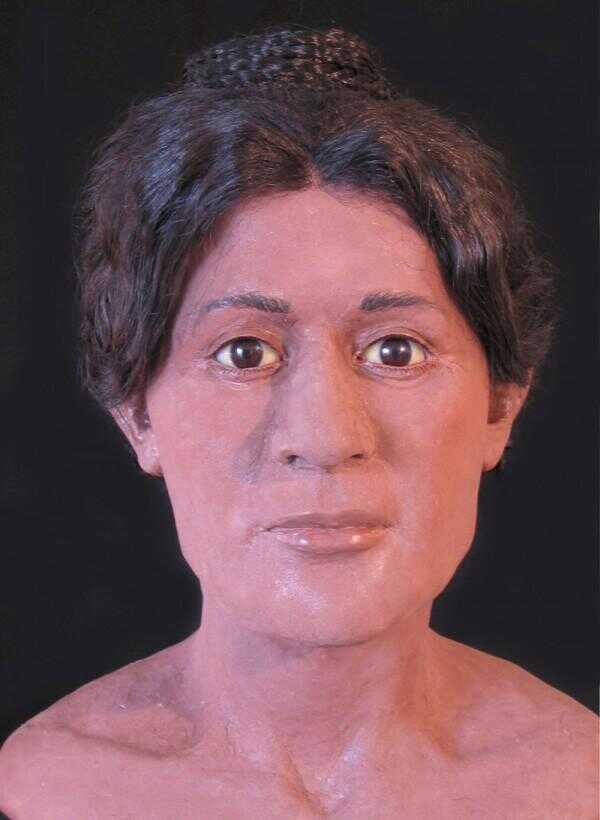 Agyptische Mumie Aufwandige Frisur Offenbart In 3d
